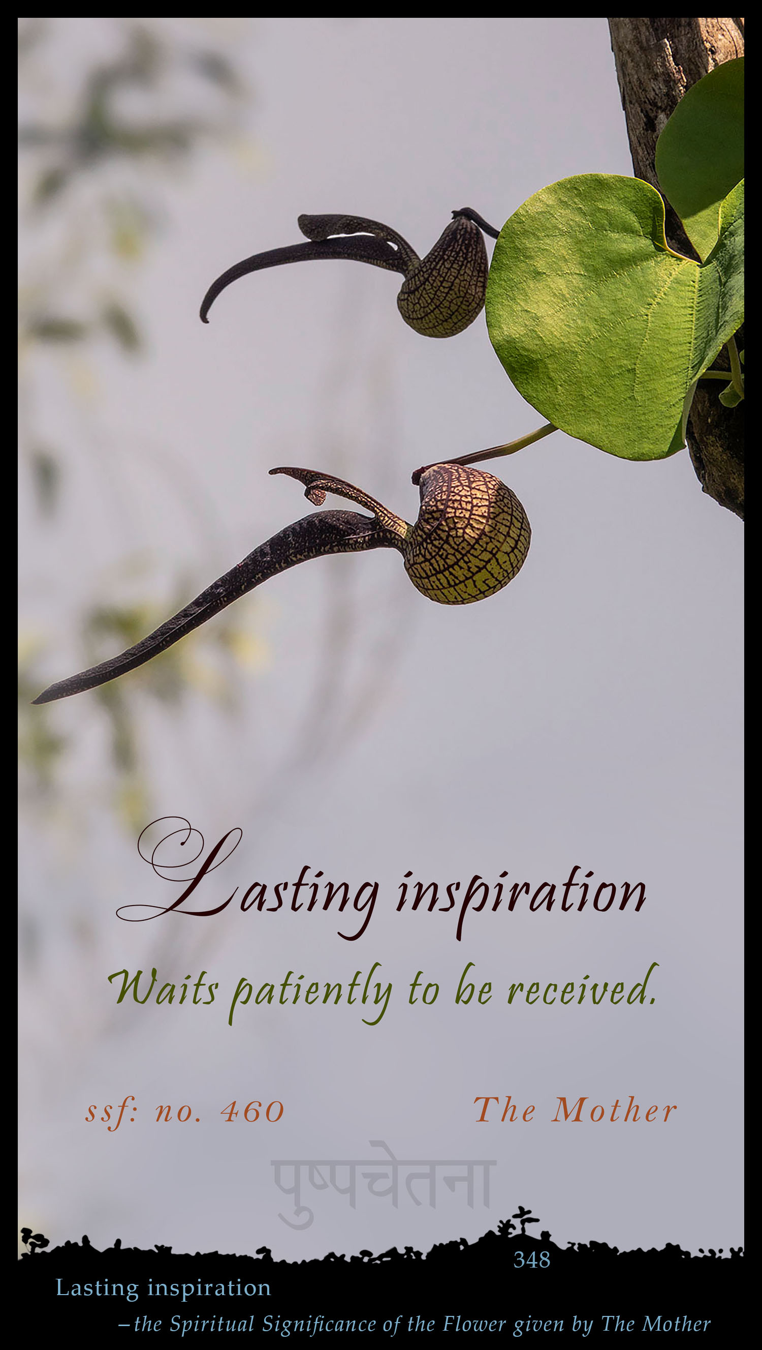 Lasting Inspiration